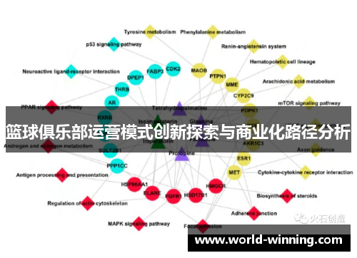 篮球俱乐部运营模式创新探索与商业化路径分析