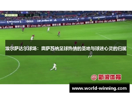 埃尔萨达尔球场：奥萨苏纳足球热情的圣地与球迷心灵的归属