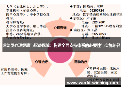 运动员心理健康与权益保障：构建全面支持体系的必要性与实施路径