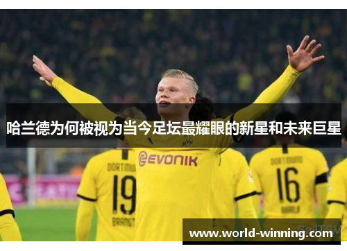 哈兰德为何被视为当今足坛最耀眼的新星和未来巨星