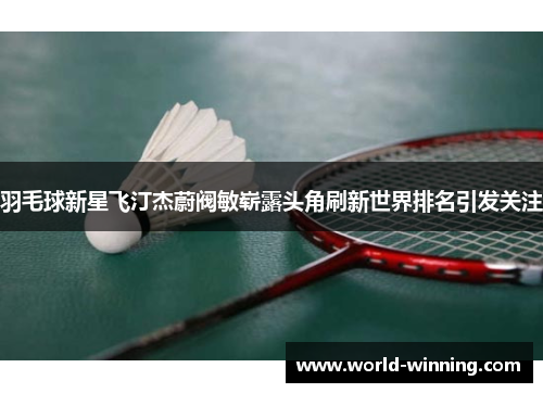 羽毛球新星飞汀杰蔚阀敏崭露头角刷新世界排名引发关注