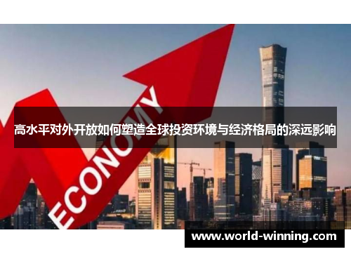高水平对外开放如何塑造全球投资环境与经济格局的深远影响