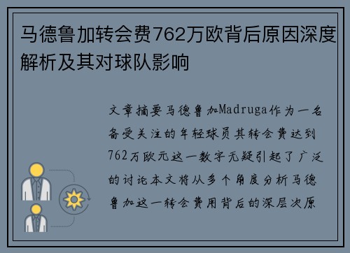 马德鲁加转会费762万欧背后原因深度解析及其对球队影响