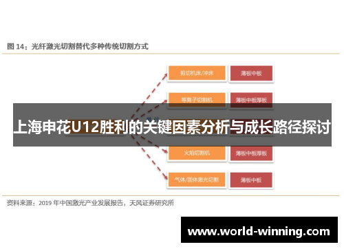 上海申花U12胜利的关键因素分析与成长路径探讨