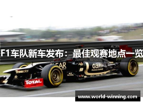 F1车队新车发布：最佳观赛地点一览